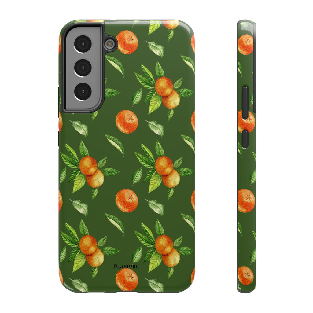 Citrus Verdi - Maison de Pourdre