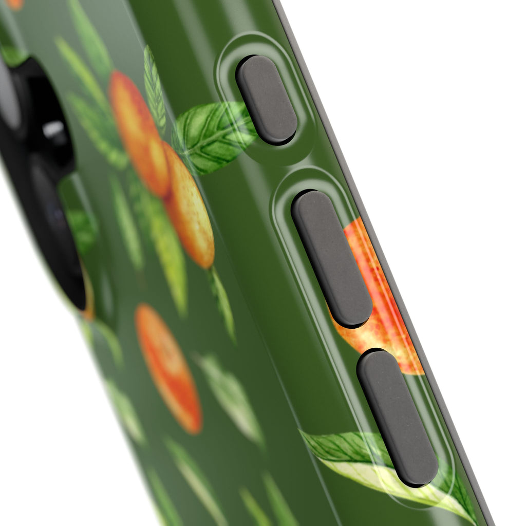 Citrus Verdi - Maison de Pourdre