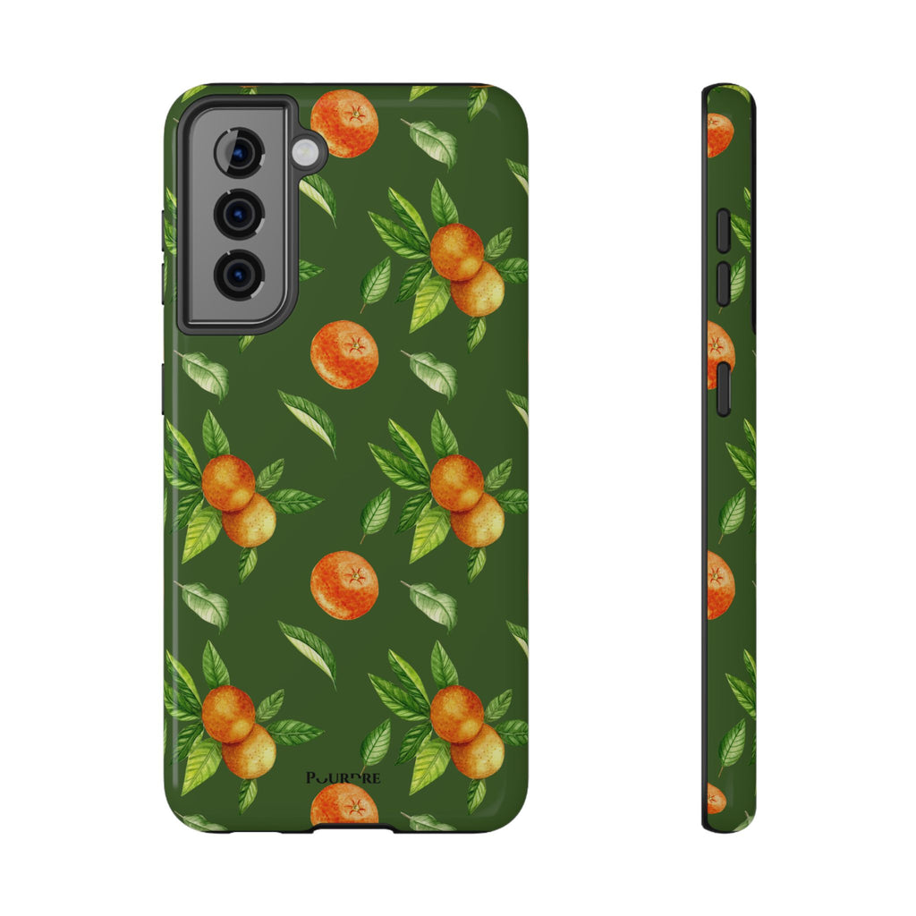 Citrus Verdi - Maison de Pourdre